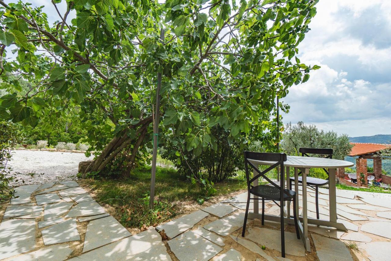 Agriturismo Le Fonti بونتاسيفي المظهر الخارجي الصورة